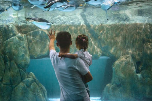 children observing animals in nature