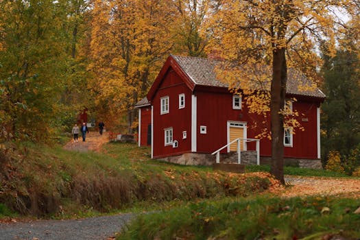 peaceful hiking trail surrounded by trees