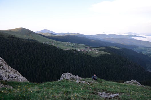 wildflower hike