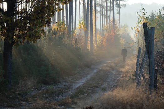 peaceful nature trail