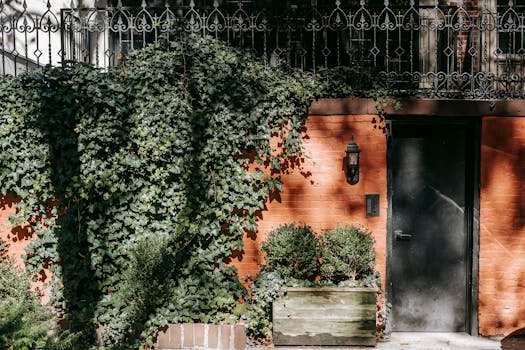 urban garden on balcony