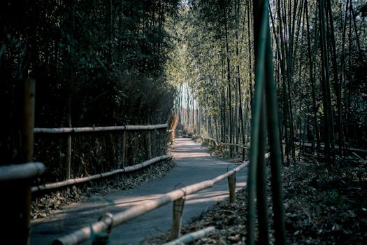 lush park path