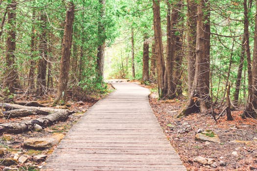 hiking trail