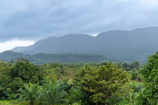 serene mountain landscape