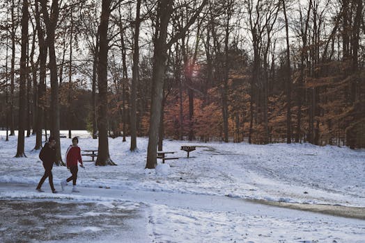 a serene park with trees and a walking path