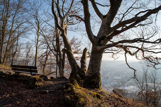 hiking trail