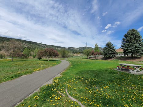 scenic view of a park with flowers