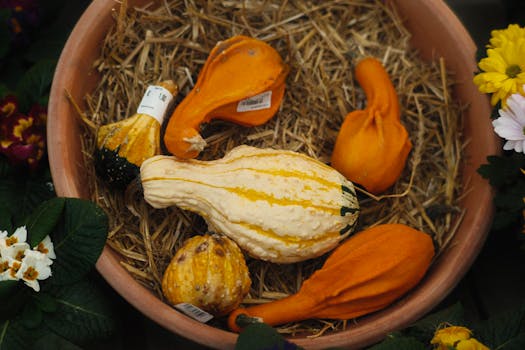 a colorful garden filled with vegetables and flowers