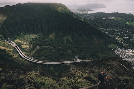 Beautiful hiking trail with lush greenery