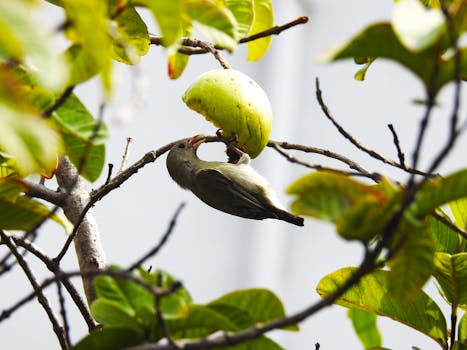 a beautiful bird perched on a branch