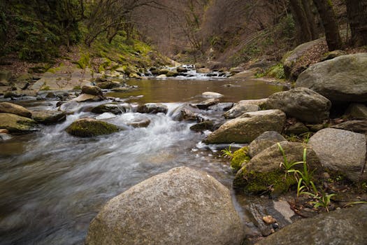 mountain stream flowing over rocks