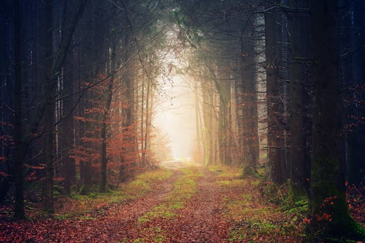 A beautiful autumn landscape