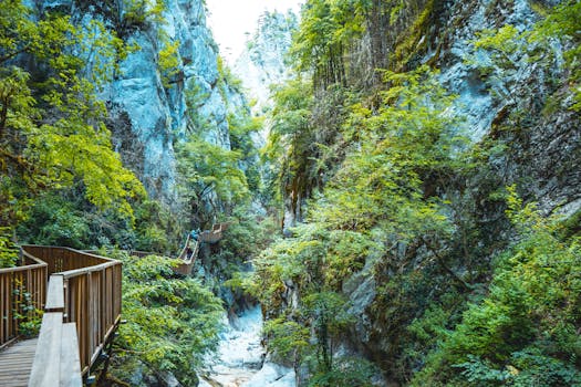 hiking trail with lush greenery