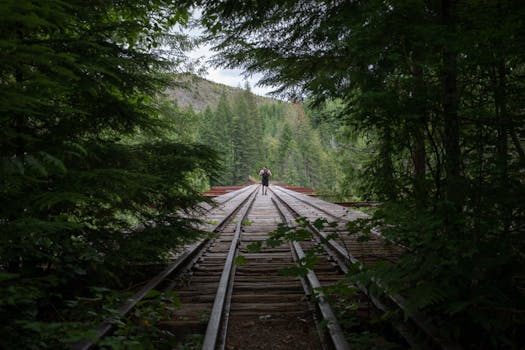 hiker enjoying a lush forest trail