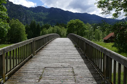 serene hiking trail with lush greenery