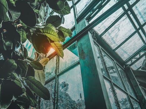 Interior of an eco-friendly building with natural light and plants