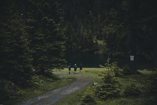 serene hiking trail in a lush forest