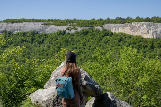 hiker enjoying a scenic view