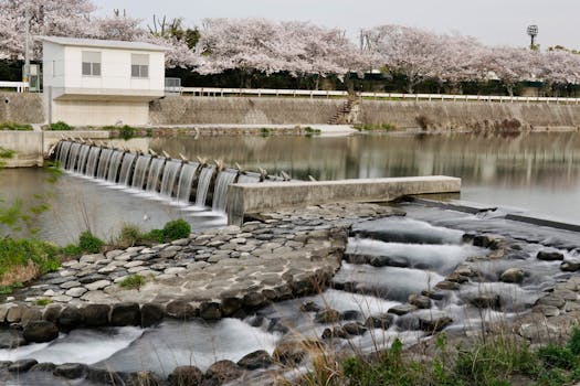 calm river surrounded by trees