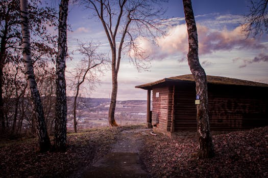 peaceful hiking trail