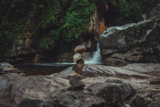 a peaceful forest scene for meditation