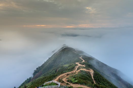 Scenic view of a peaceful hiking trail