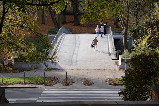 tranquil city park with green trees