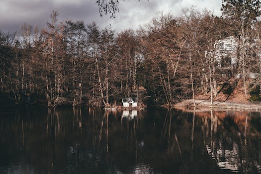 peaceful forest setting