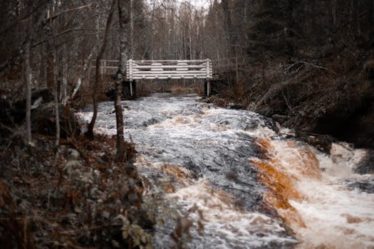 A peaceful nature scene with a flowing river